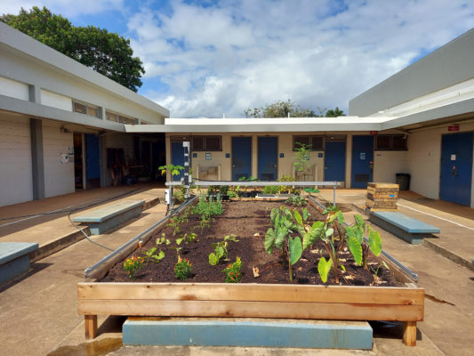 photo raised bed waipahy