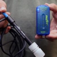 Pasco Optical Dissolved Oxygen Sensor