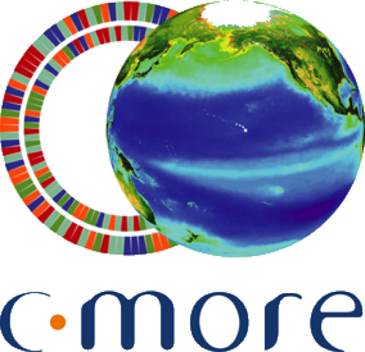 partner-cmore