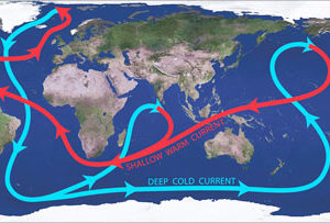 C-MORE Science Kit - Ocean Conveyor Belt