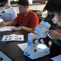C-MORE Science Kit - Plankton