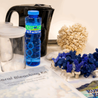 Coral Bleaching Kit