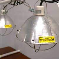 Heat Lamp Kit