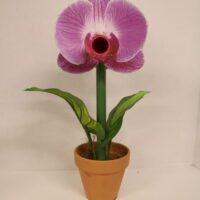 Pollinator Model - Bucket Orchid