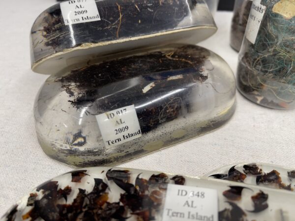 C-MORE Science Kit - Marine Debris - Image 3