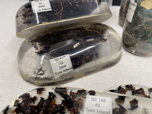 C-MORE Science Kit - Marine Debris - Image 3