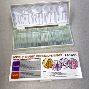 60 Microscope Slides