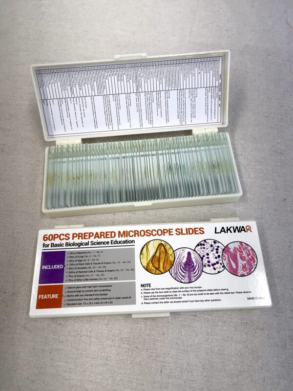 60 Microscope Slides