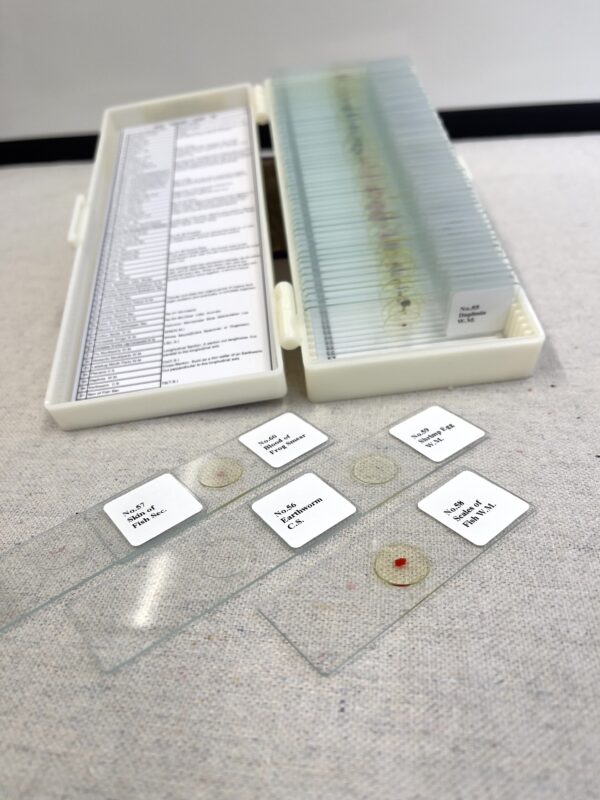 60 Microscope Slides - Image 2