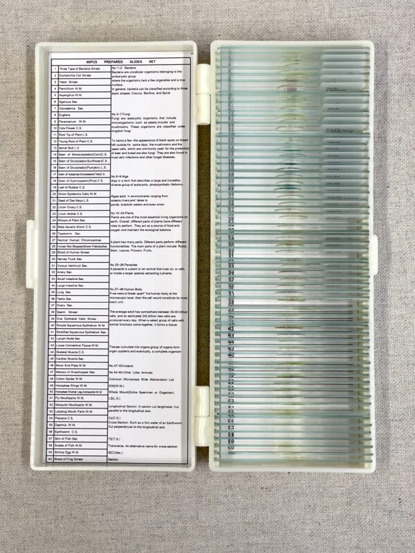 60 Microscope Slides - Image 3