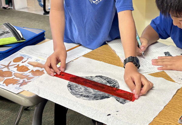 Gyotaku Fish Printing - Fish Form and Function - Image 9