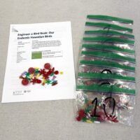 Bird Beak Engineering Design Kit