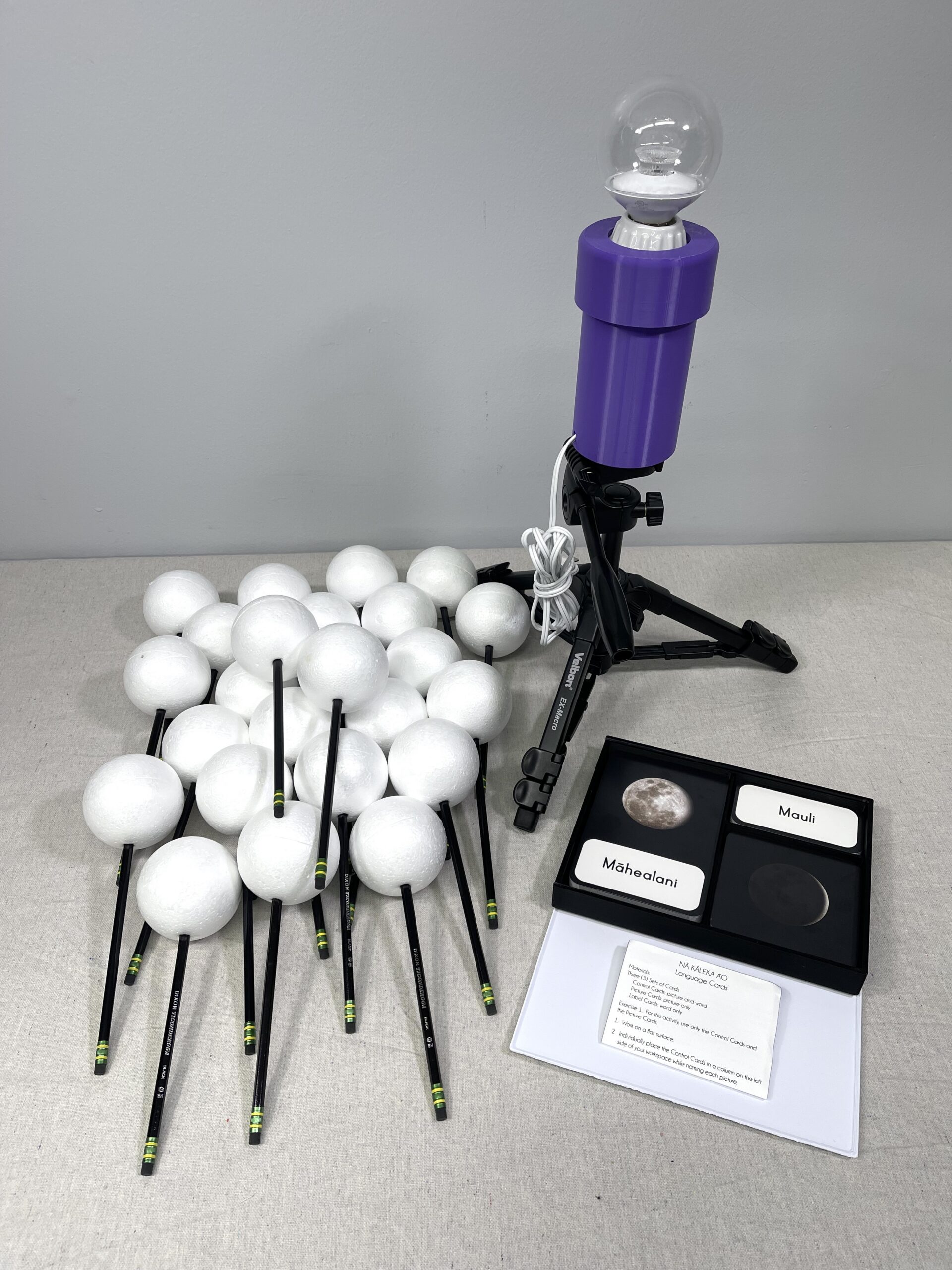 Kinesthetic Model of the Sun, the Moon, and the Earth