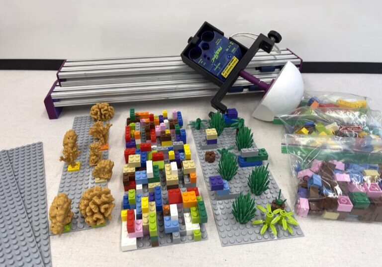 Coral Reef Wave Tank Activity 01